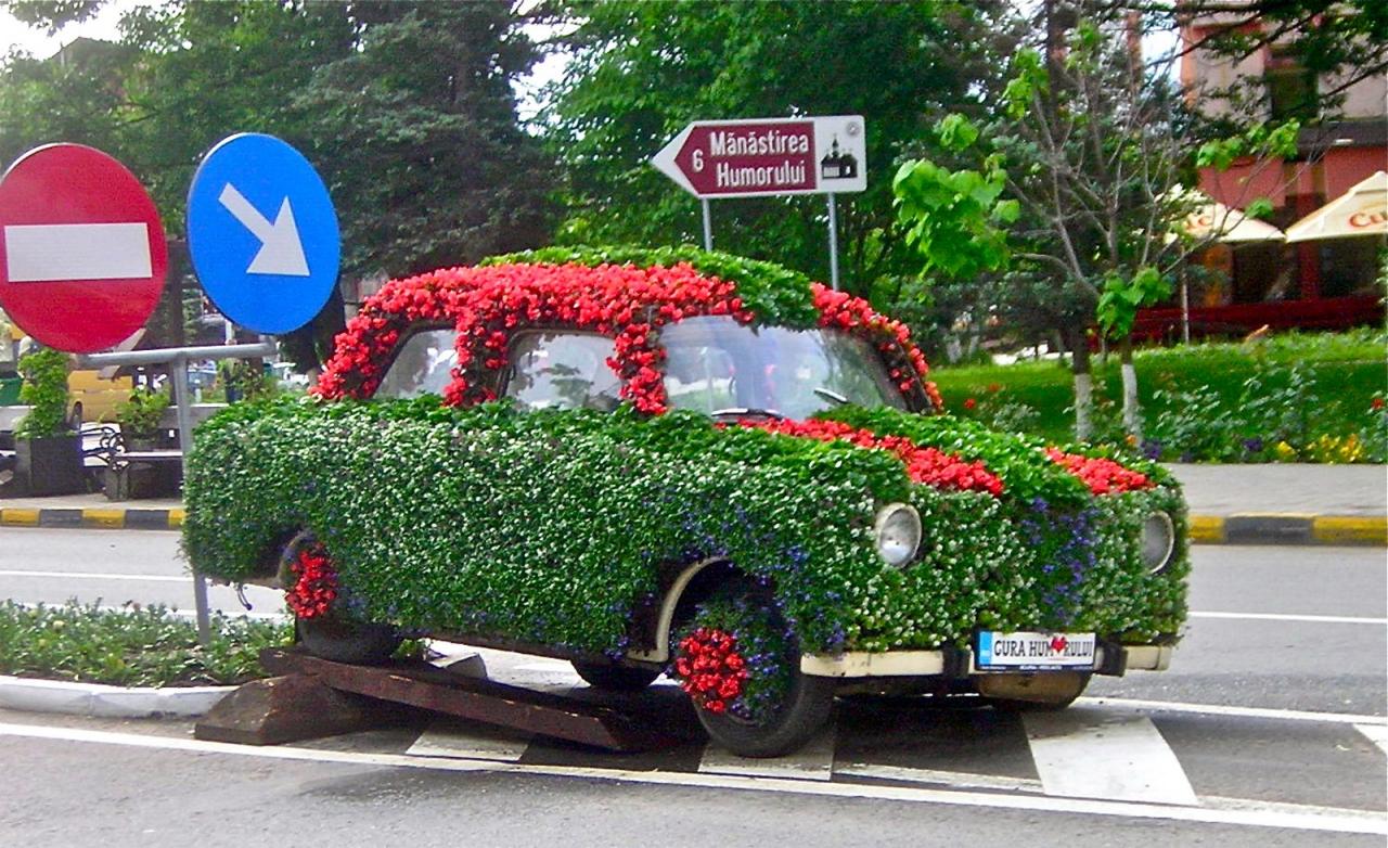 10 VOITURE FLEURIE -ROUMANIE