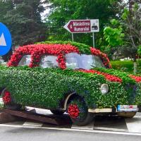 10 VOITURE FLEURIE -ROUMANIE