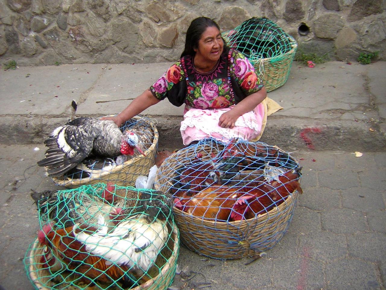 14 MARCHANDE DE VOLAILLES GUATEMALA