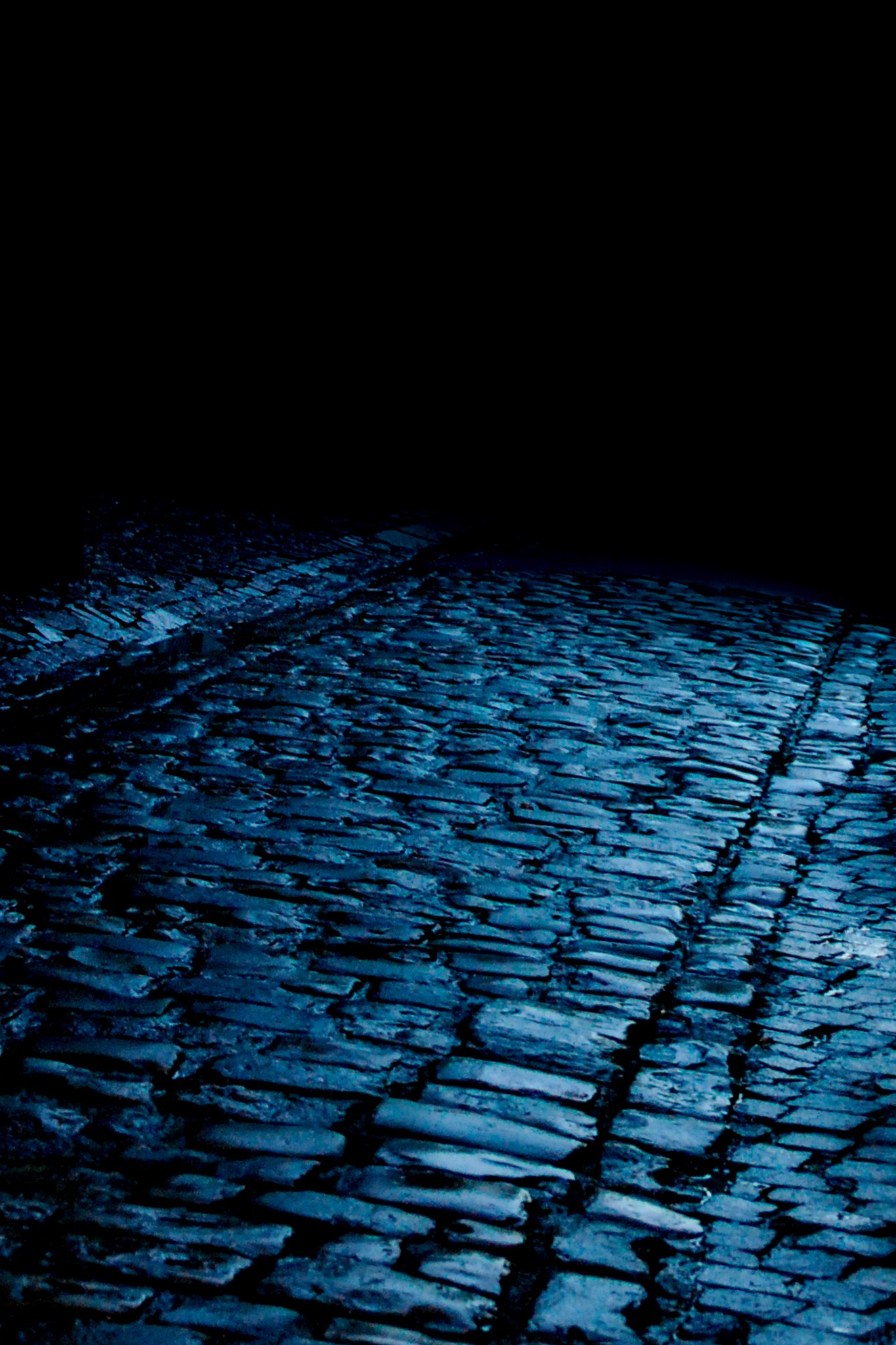  Dans la nuit