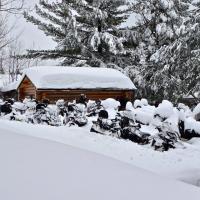 21 Une cabane au canada