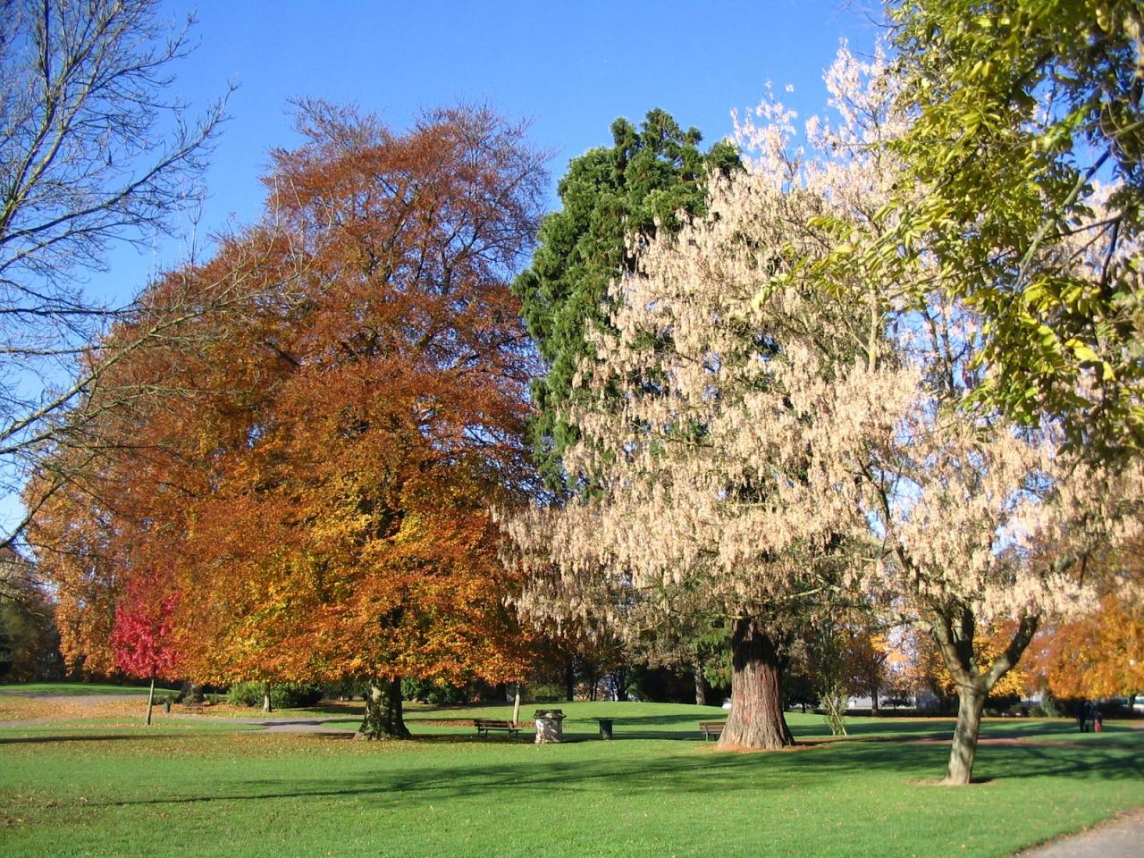 24 Automne Arras
