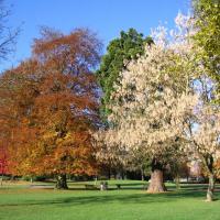 24 Automne Arras