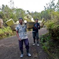 26 PORTEURS DE SOUFRE A JAVA
