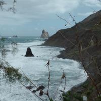 Cote sauvage
